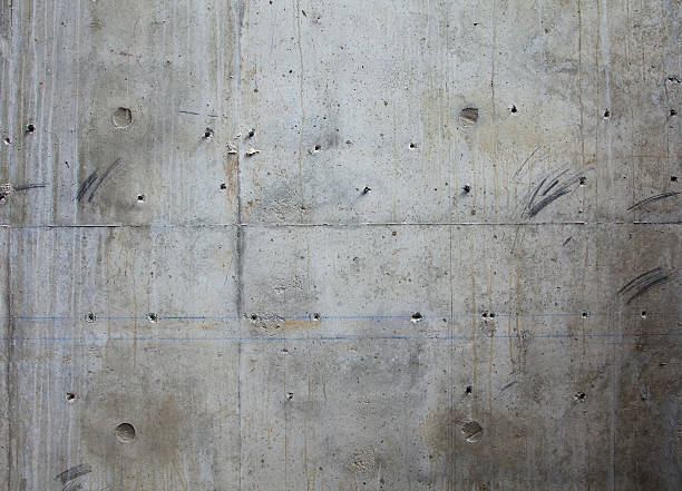 Best Best Concrete Contractor  in Ely, NV